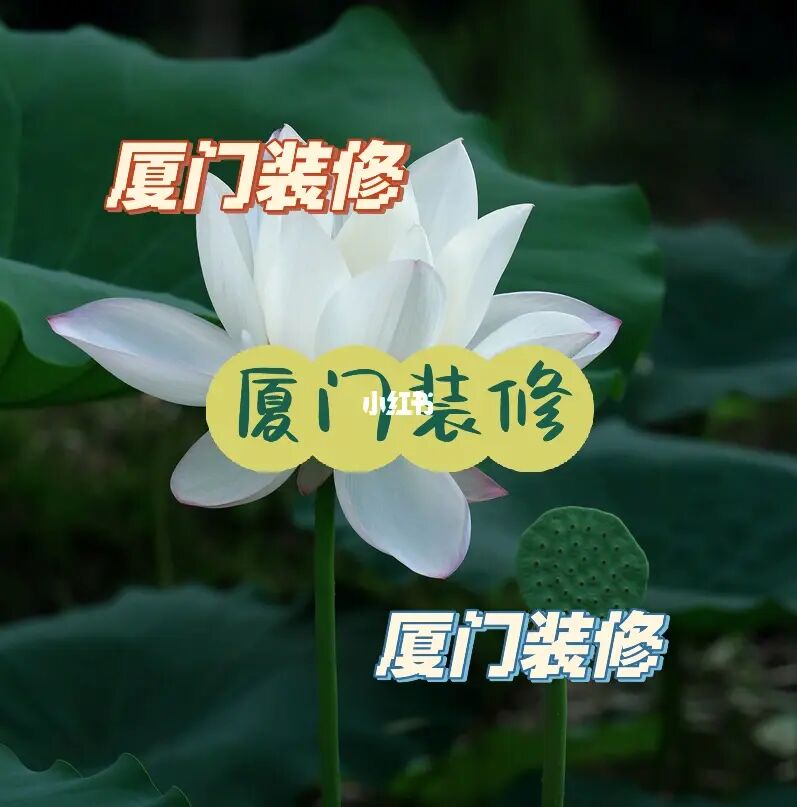 周末能裝修嗎廈門(mén)_廈門(mén)周末休閑_廈門(mén)周末親子活動(dòng)