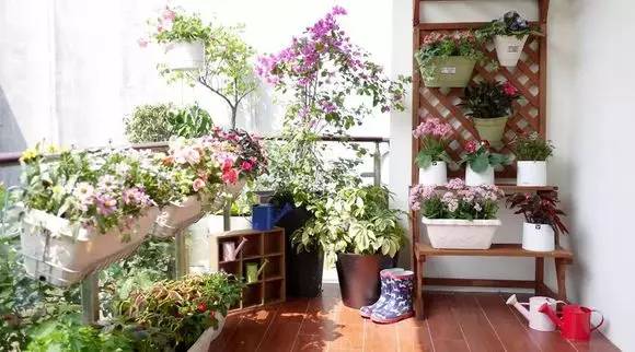 廈門(mén)院子裝修_廈門(mén)裝修院子效果圖_廈門(mén)裝修院子價(jià)格多少