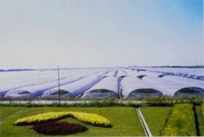 廈門(mén)裝修垃圾傾倒點(diǎn)_廈門(mén)裝修建筑垃圾怎么處理_廈門(mén)裝修垃圾清運(yùn)費(fèi)標(biāo)準(zhǔn)