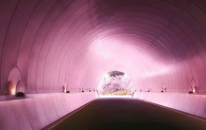 廈門過生日的觀景餐廳_廈門生日場景布置_廈門布置生日場景的地方