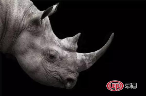 廈門(mén)裝修垃圾清運(yùn)_廈門(mén)裝修垃圾傾倒點(diǎn)_廈門(mén)裝修建筑垃圾怎么處理