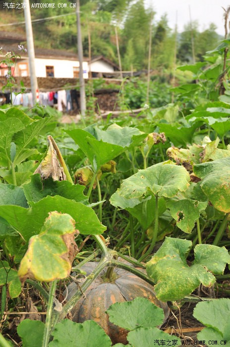 廈門辦公室裝修設(shè)計_廈門辦公裝修室設(shè)計公司_廈門辦公裝修室設(shè)計公司排名