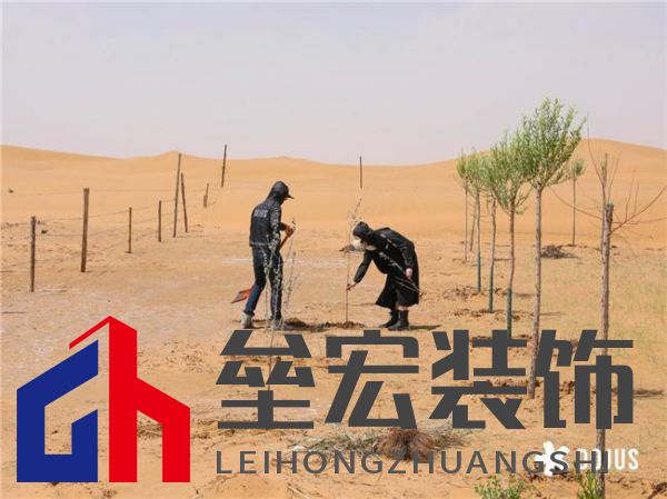 DOJUS 度假式家私：重構(gòu)家居消費場景，定義“日常，就度假”的美學(xué)革命
